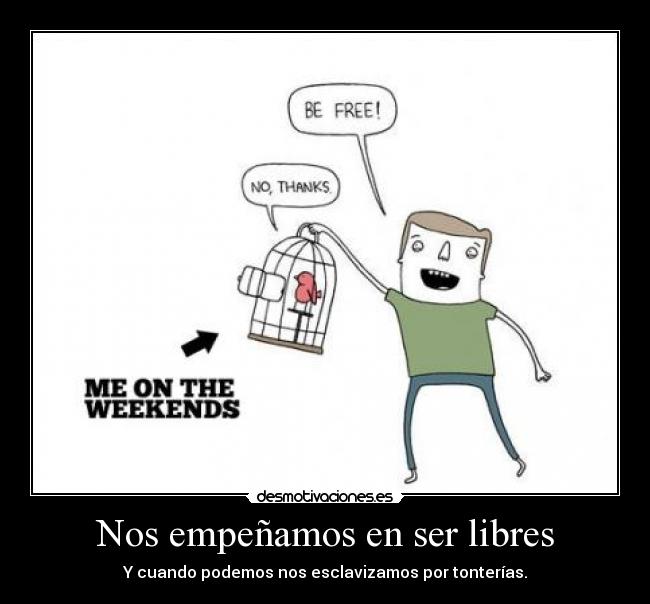 carteles libres tonterias jail juala hombre pajaro free the weekends thanks desmotivaciones