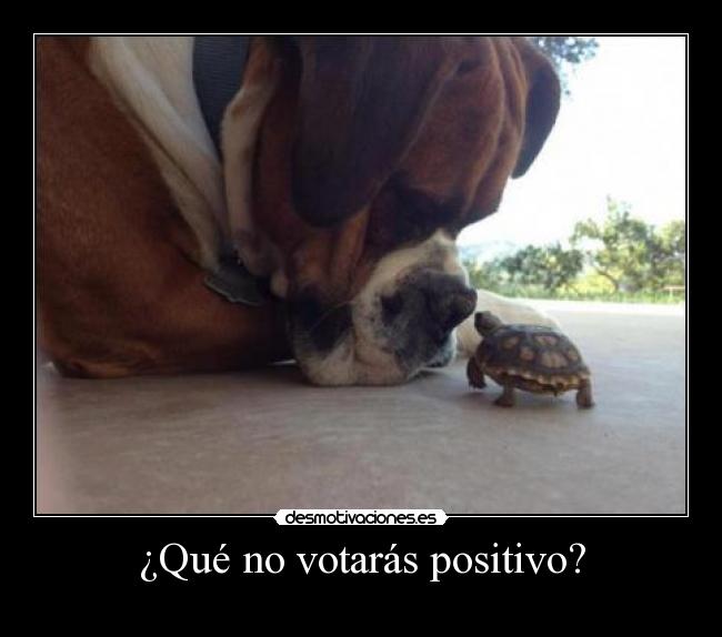 ¿Qué no votarás positivo? -
