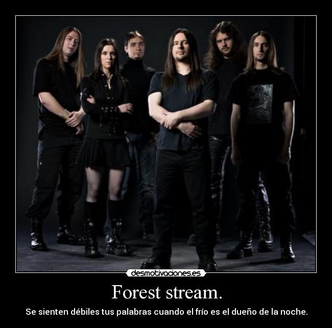 Forest stream. - Se sienten débiles tus palabras cuando el frío es el dueño de la noche.