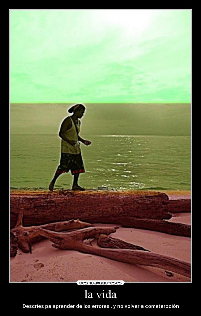 la vida - Descries pa aprender de los errores , y no volver a cometerpción