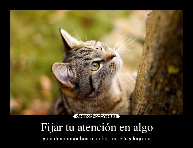 carteles logrosss desmotivaciones