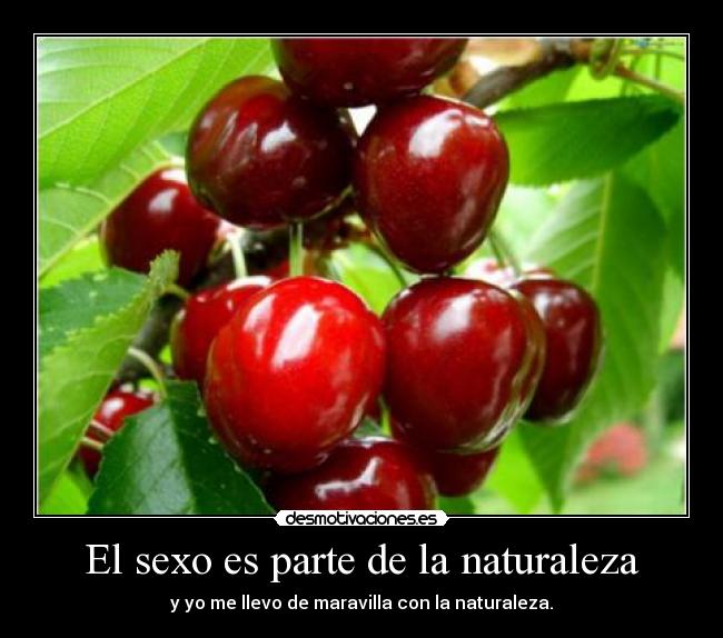El sexo es parte de la naturaleza - y yo me llevo de maravilla con la naturaleza.