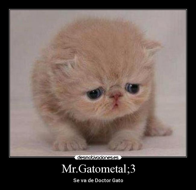 Mr.Gatometal;3 - Se va de Doctor Gato
