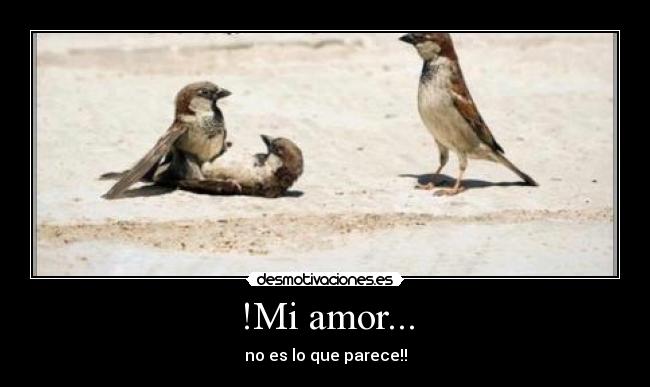 carteles amor infraganti desmotivaciones