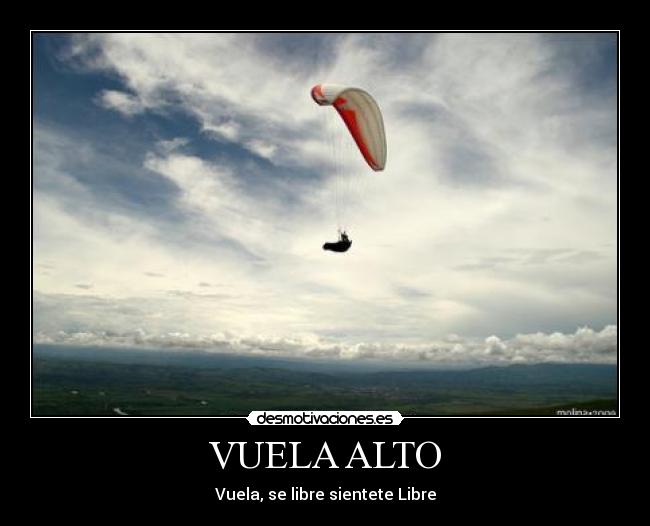 carteles libertad desmotivaciones