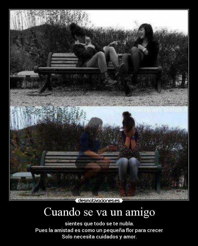 carteles cuando amigo amistad nubla peque flor creer necesita cuidados amor desmotivaciones