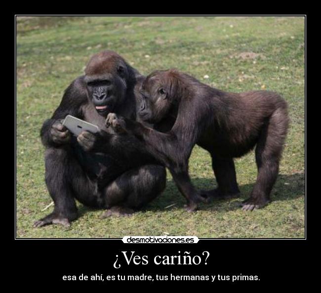 ¿Ves cariño? - esa de ahí, es tu madre, tus hermanas y tus primas.