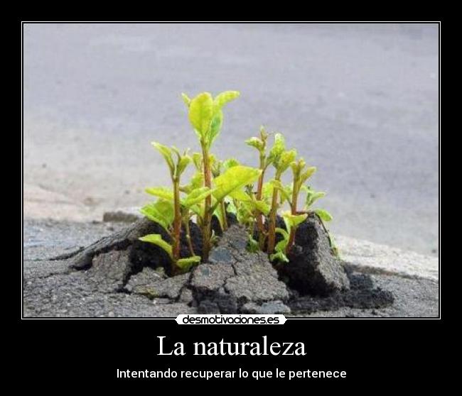 La naturaleza - Intentando recuperar lo que le pertenece