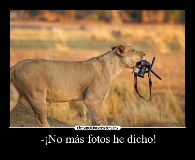 -¡No más fotos he dicho! -