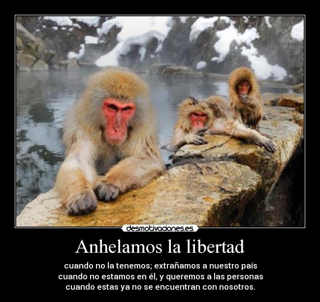 Anhelamos la libertad - cuando no la tenemos; extrañamos a nuestro país
cuando no estamos en él, y queremos a las personas
cuando estas ya no se encuentran con nosotros.