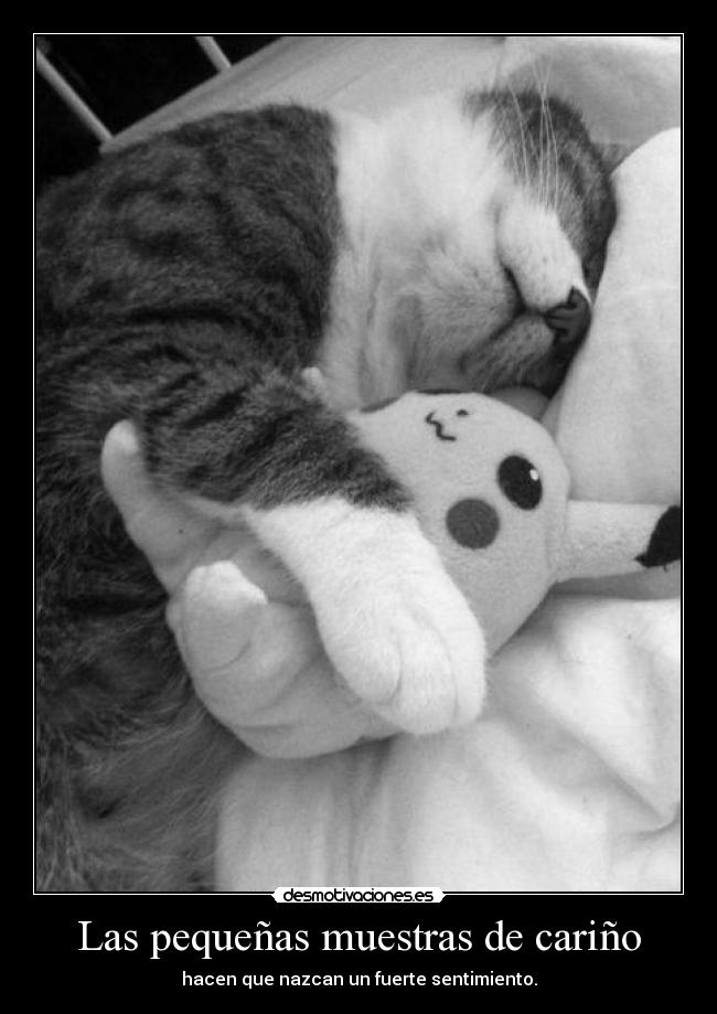 Las pequeñas muestras de cariño - hacen que nazcan un fuerte sentimiento.
