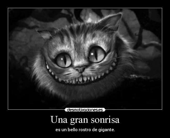 Una gran sonrisa - 