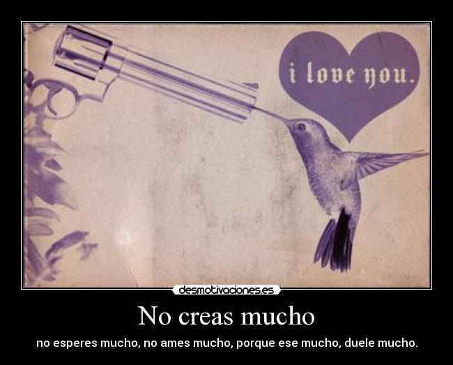 No creas mucho - no esperes mucho, no ames mucho, porque ese mucho, duele mucho.