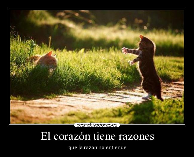 carteles corazon notengoficio desmotivaciones