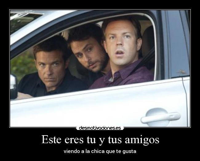 Este eres tu y tus amigos -