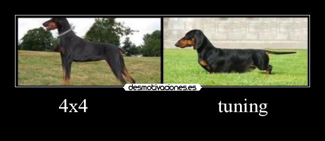 4x4                          tuning - 