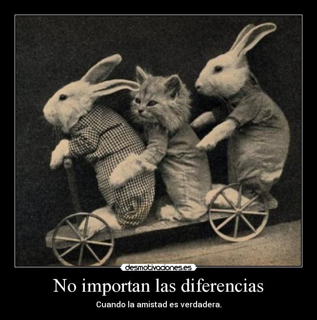 No importan las diferencias -