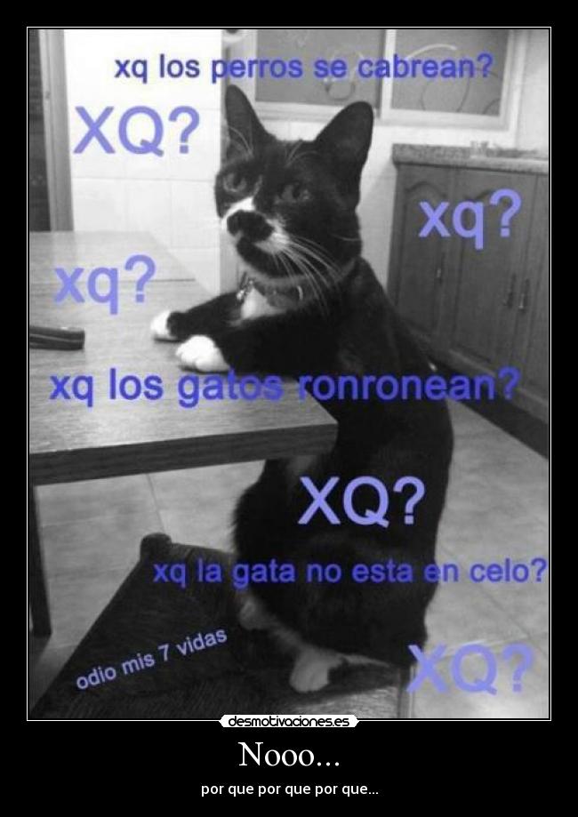 Nooo... - por que por que por que...