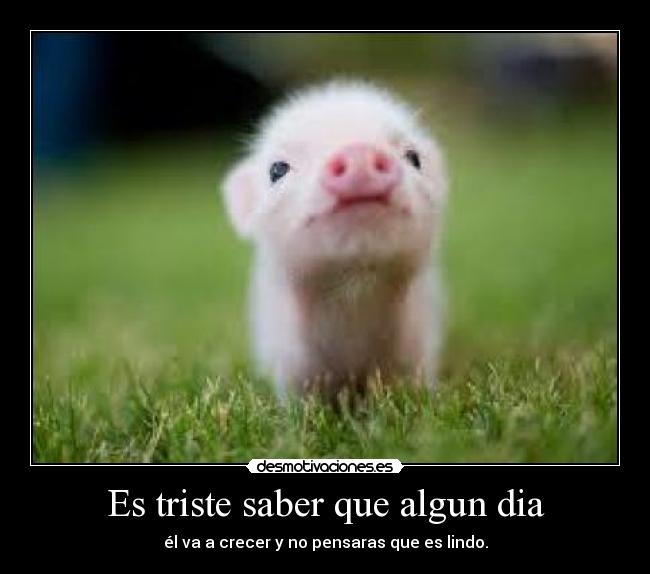 Es triste saber que algun dia - él va a crecer y no pensaras que es lindo.