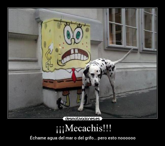 ¡¡¡Mecachis!!! - Échame agua del mar o del grifo... pero esto noooooo