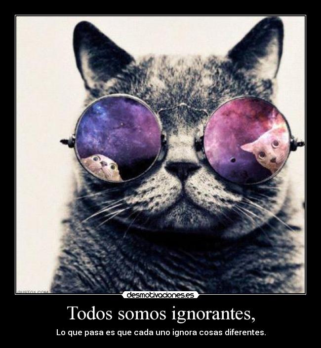 Todos somos ignorantes, - Lo que pasa es que cada uno ignora cosas diferentes.