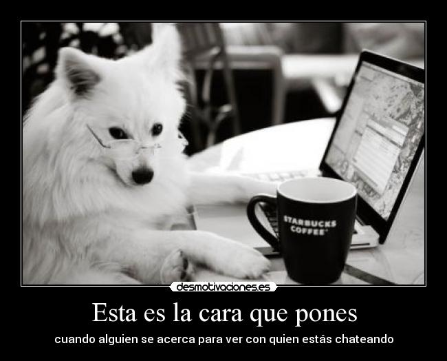 Esta es la cara que pones - cuando alguien se acerca para ver con quien estás chateando