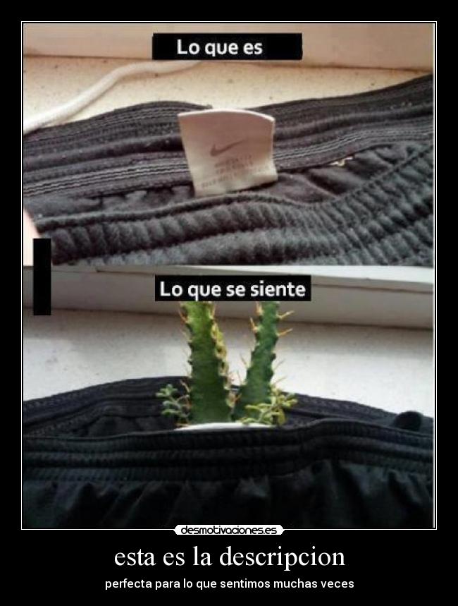 esta es la descripcion - perfecta para lo que sentimos muchas veces