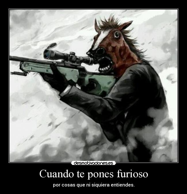 carteles furia caballo desmotivaciones