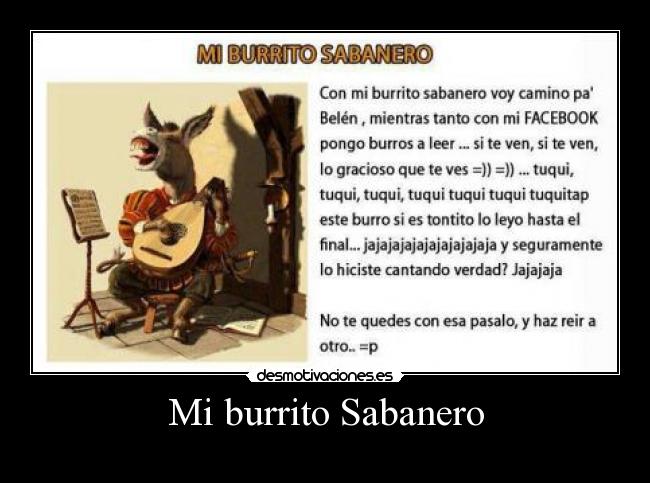 Mi burrito Sabanero - 