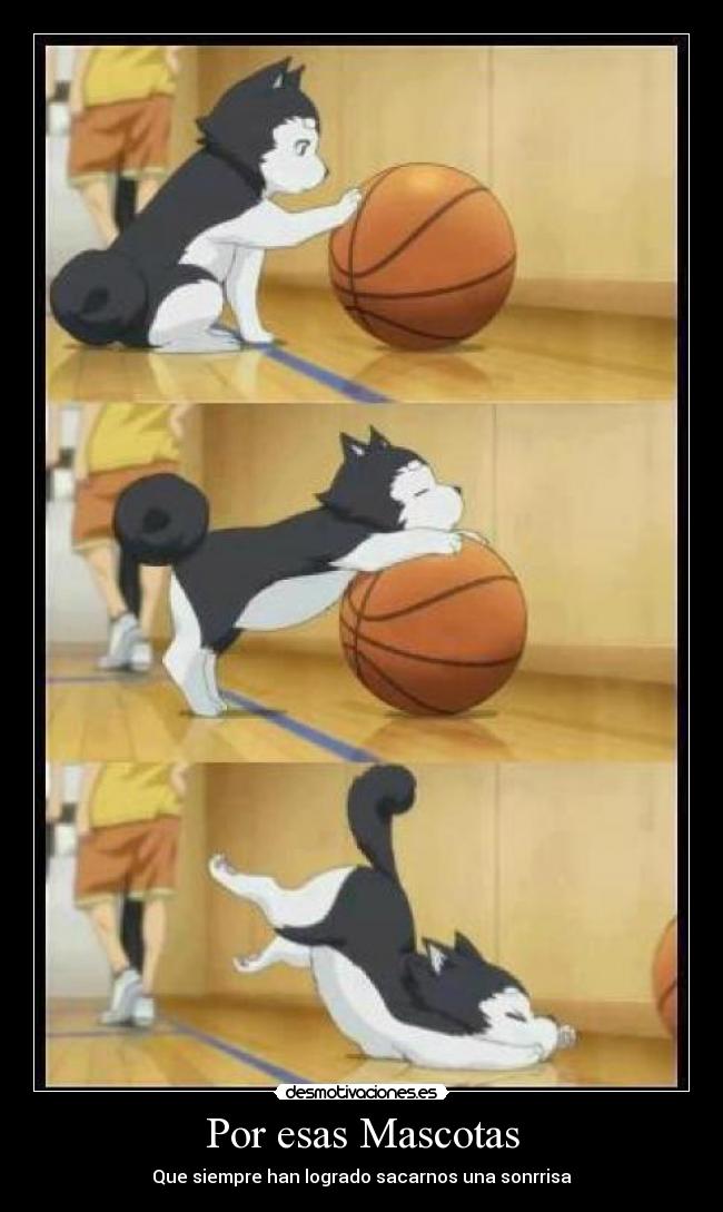 Por esas Mascotas - Que siempre han logrado sacarnos una sonrrisa