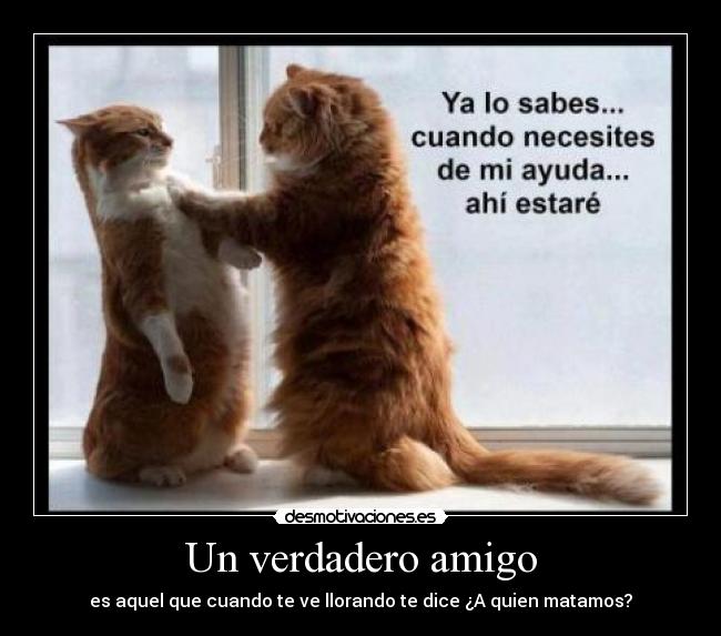 Un verdadero amigo -