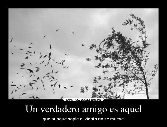 Un verdadero amigo es aquel - que aunque sople el viento no se mueve.