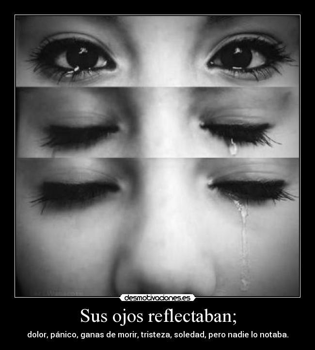 Sus ojos reflectaban; -