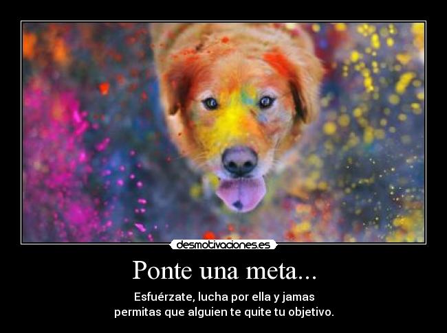 Ponte una meta... - Esfuérzate, lucha por ella y jamas
permitas que alguien te quite tu objetivo.