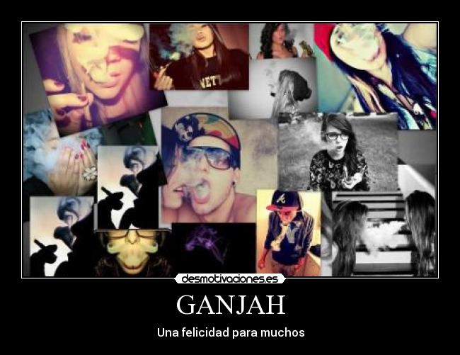 GANJAH - Una felicidad para muchos