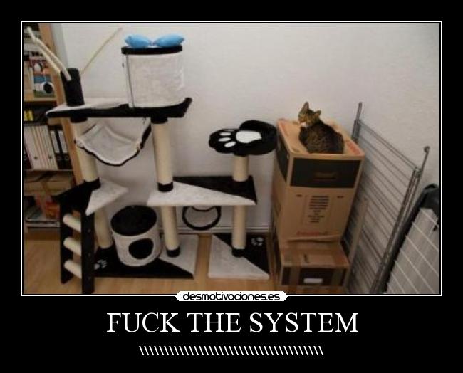 FUCK THE SYSTEM - \\\\\\\\\\\\\\\\\\\\\\\\\\\\\\\\\\\\\