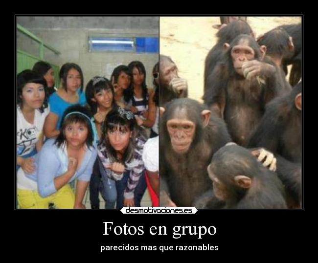 Fotos en grupo -