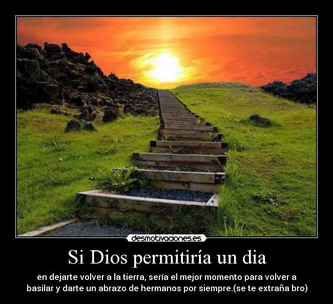 Si Dios permitiría un dia - en dejarte volver a la tierra, sería el mejor momento para volver a
basilar y darte un abrazo de hermanos por siempre.(se te extraña bro)
