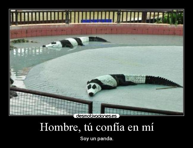 Hombre, tú confía en mí - Soy un panda.