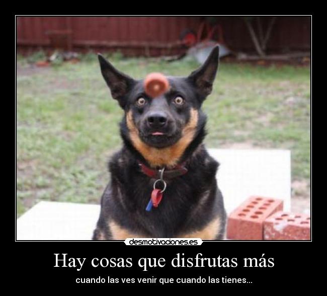 carteles humor desmotivaciones