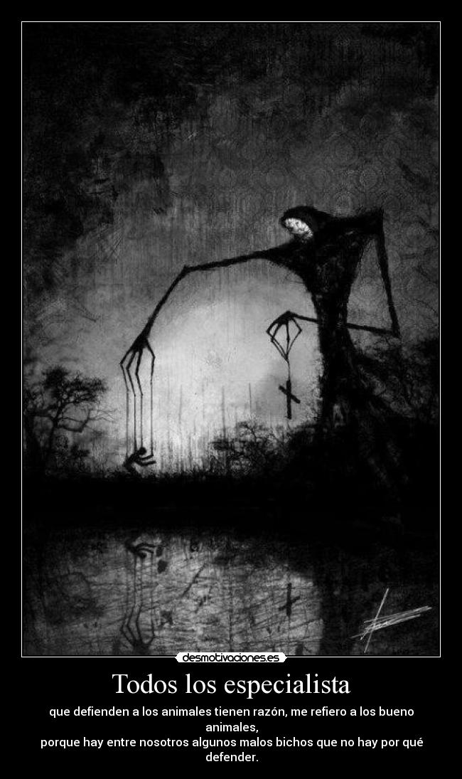 Todos los especialista - 