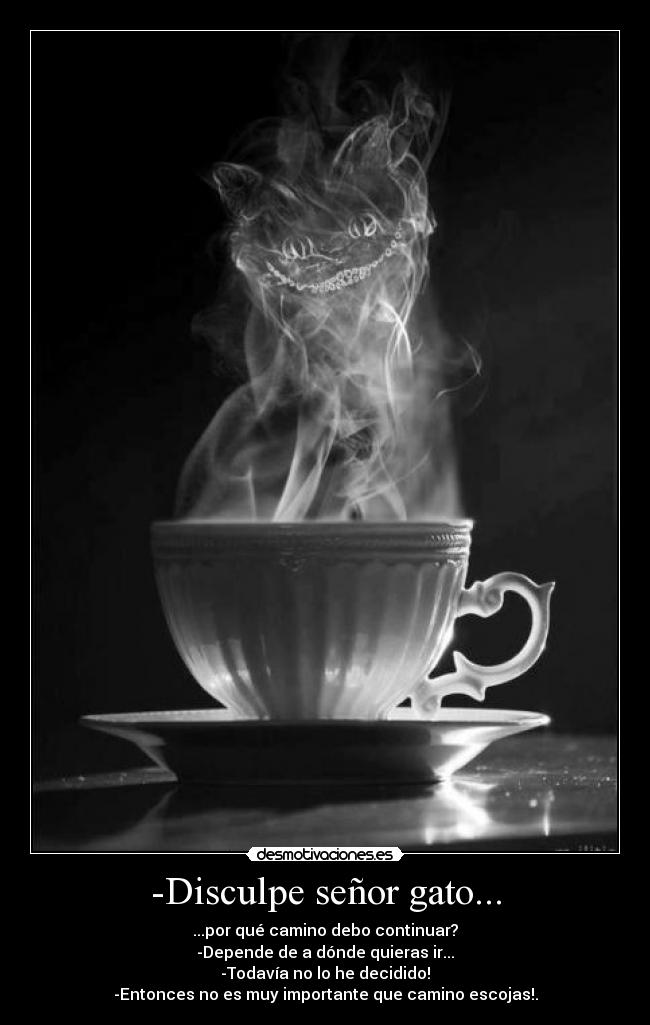 -Disculpe señor gato... -