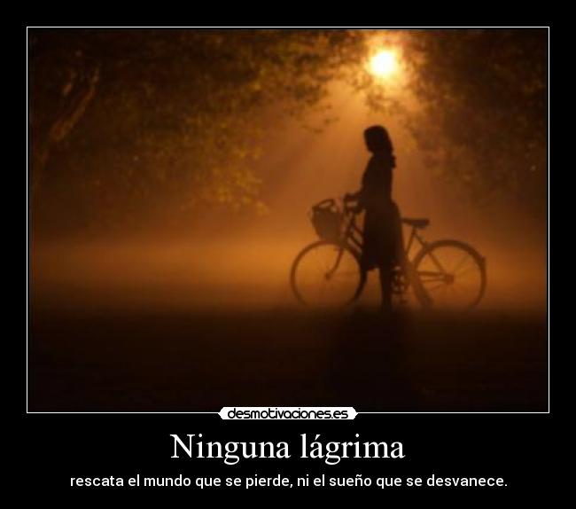 Ninguna lágrima -