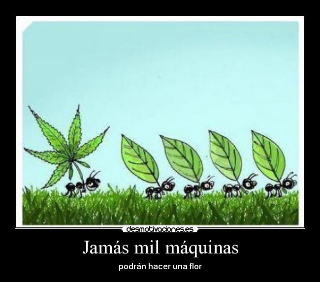 Jamás mil máquinas - podrán hacer una flor