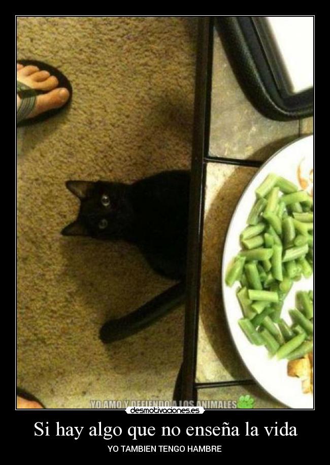 Si hay algo que no enseña la vida - YO TAMBIEN TENGO HAMBRE