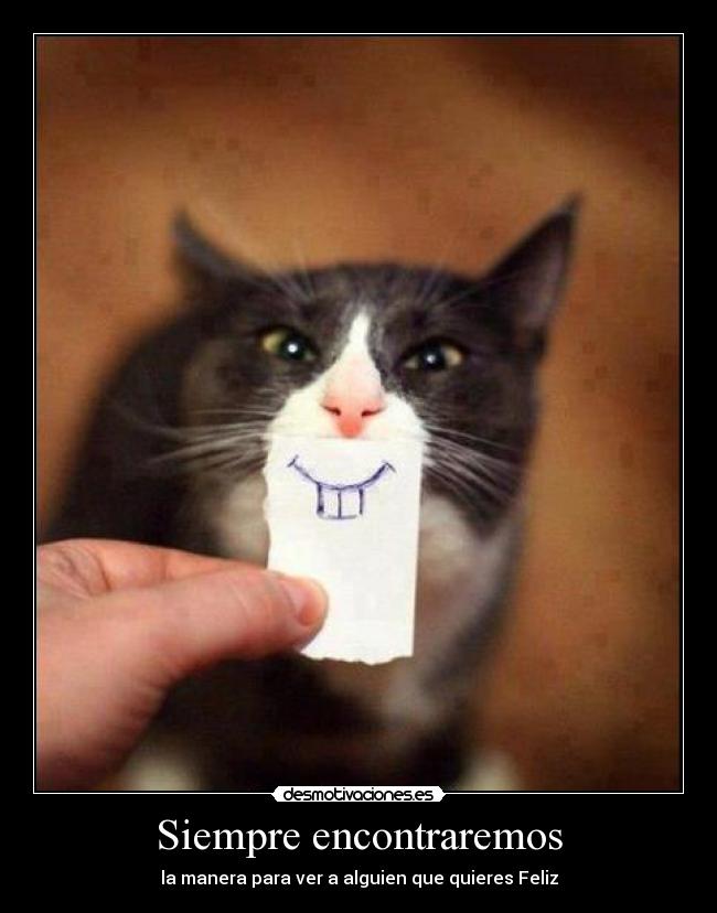 carteles amigos desmotivaciones