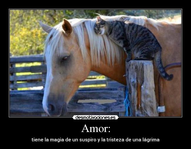 Amor: - tiene la magia de un suspiro y la tristeza de una lágrima