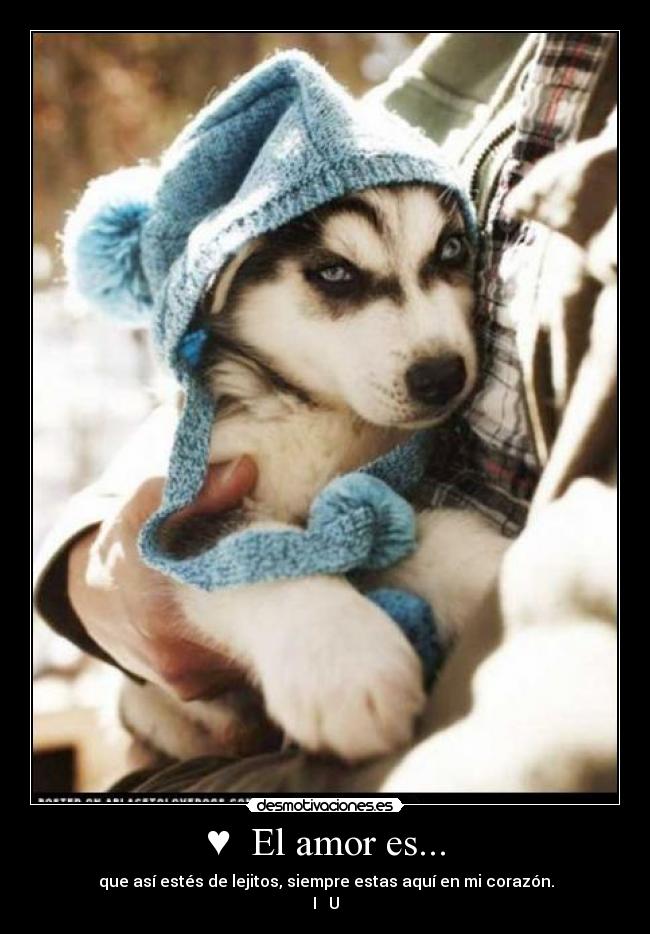 ♥ El amor es... - ♥ que así estés de lejitos, siempre estas aquí en mi corazón. ♥
I ♥ U