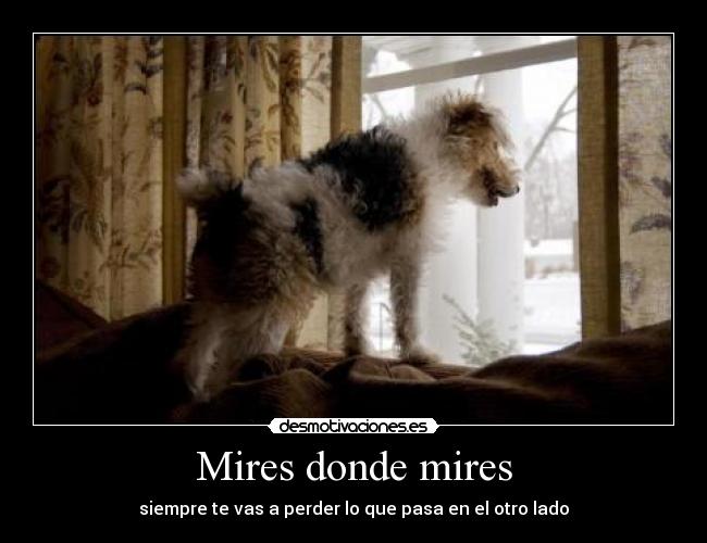 Mires donde mires -