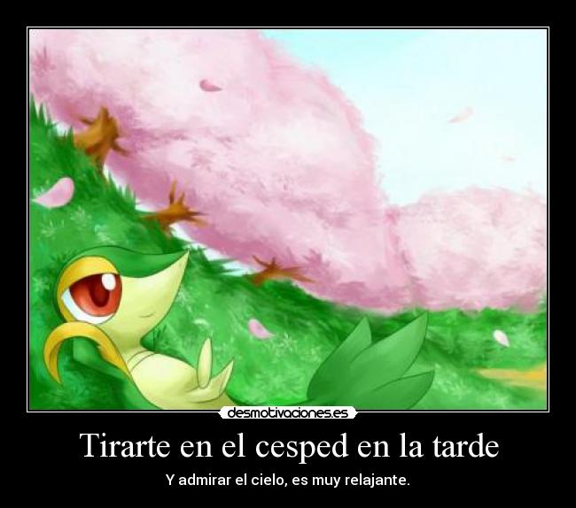 carteles pokemon anime anime otaku relajante relajar cielo tarde cierto admirar desmotivaciones